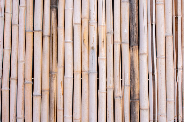 Bamboo-4705912 640.jpg