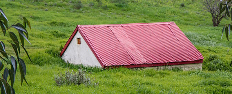 House in grass, biophillic banner.jpg