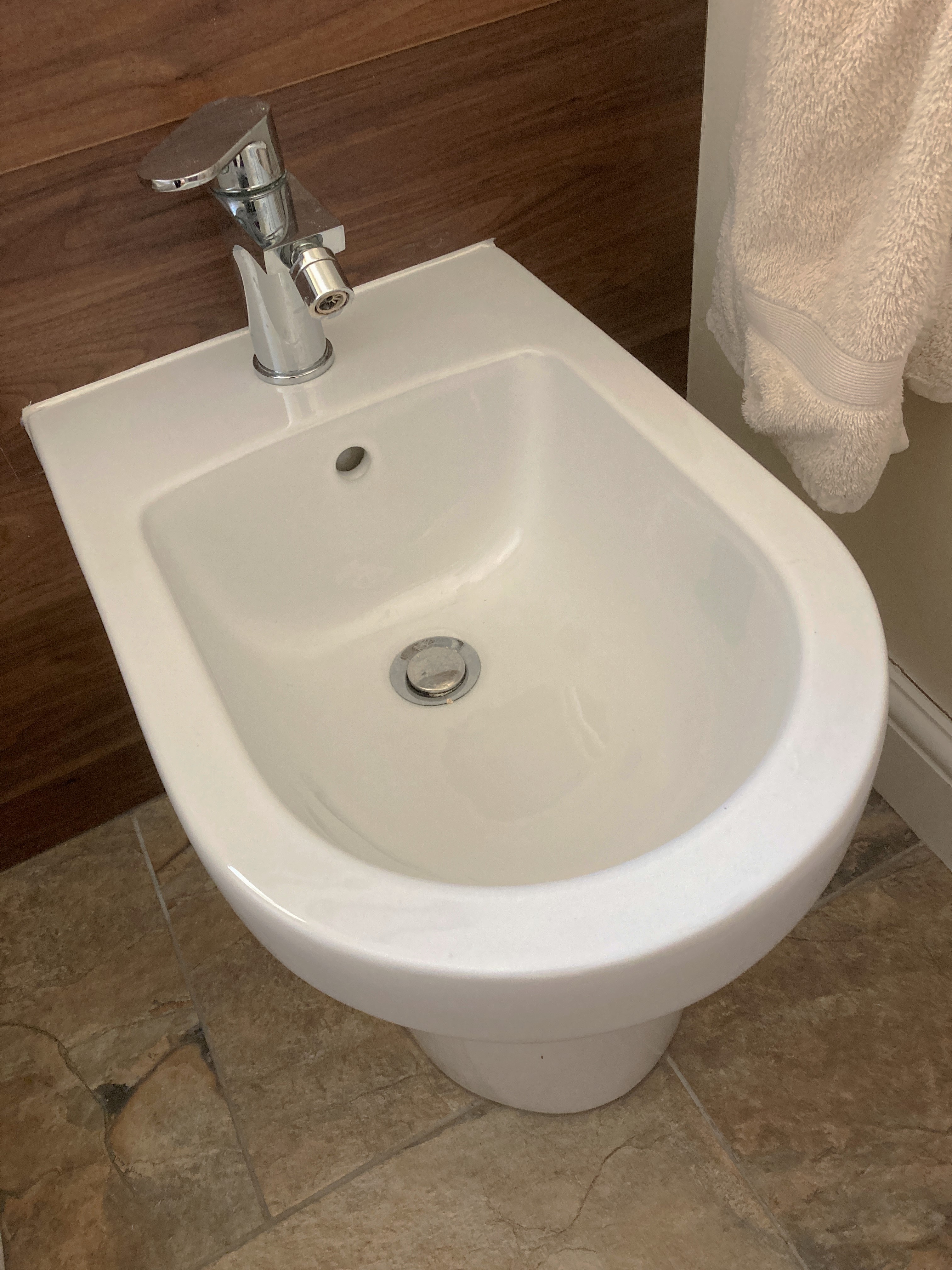 Bidet.JPG