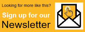 Newsletter sign up CTA.png