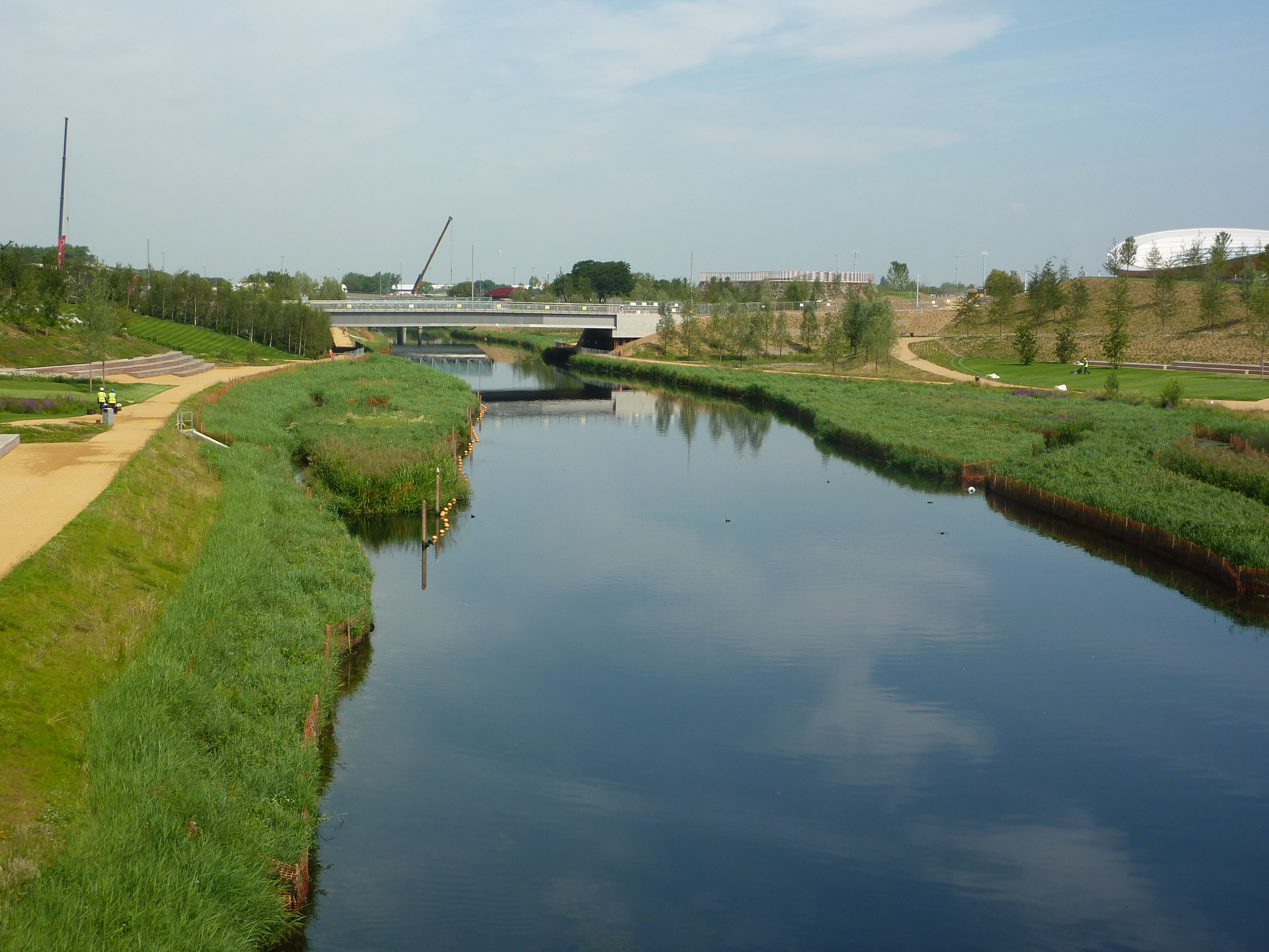 Reedbeds on the Olympic Park.JPG