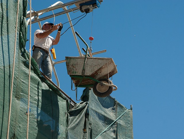 Debris netting 2.jpg